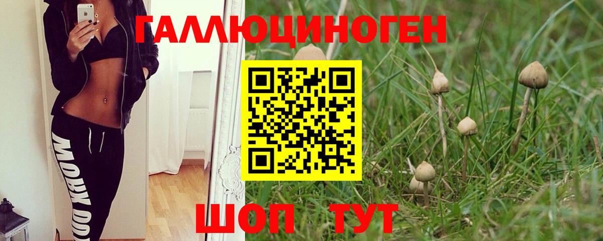 Псилоцибиновые грибы прущие грибы  Вход с VPN  Красноармейск 