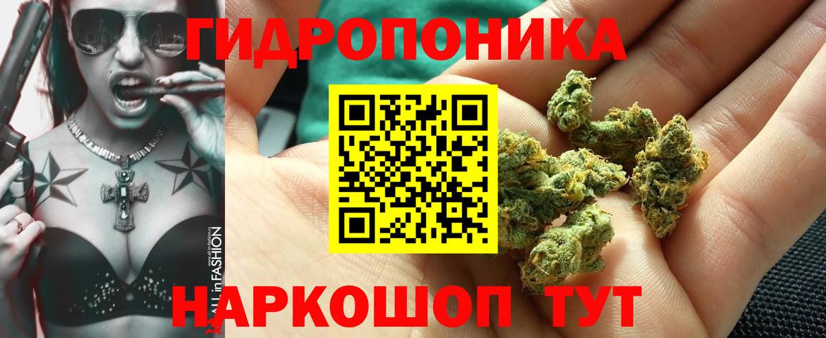 Шишки марихуана планчик Красноармейск